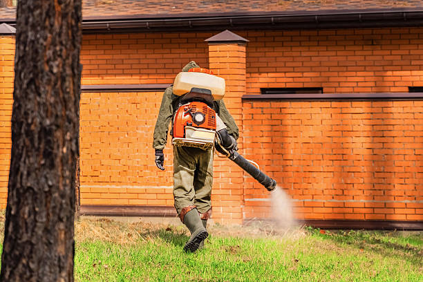 Trusted Bed Bug Control service in Newmanstown, PA - Nex Pest Control